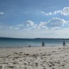 IMG_0236 IMG_0236