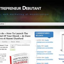 webentrepreneurdebutant blogging, web marketing et monétisation